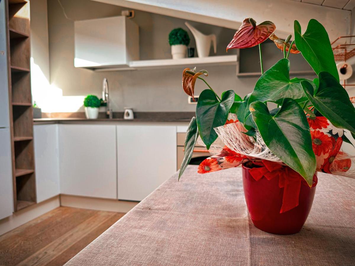 Appartement Accogliente Mansarda In Centro Storico à Ravenne Extérieur photo
